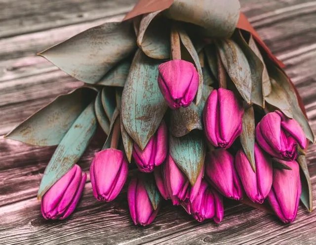 Un bel mazzo di tulipani color magenta per la tua casa - foto ispirazione Leroy Merlin