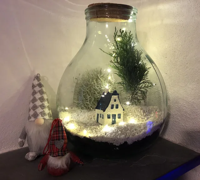 Mi sono bastati due gnomi, una casetta e lucine natalizie per creare il mio terrarium – foto dell’autrice