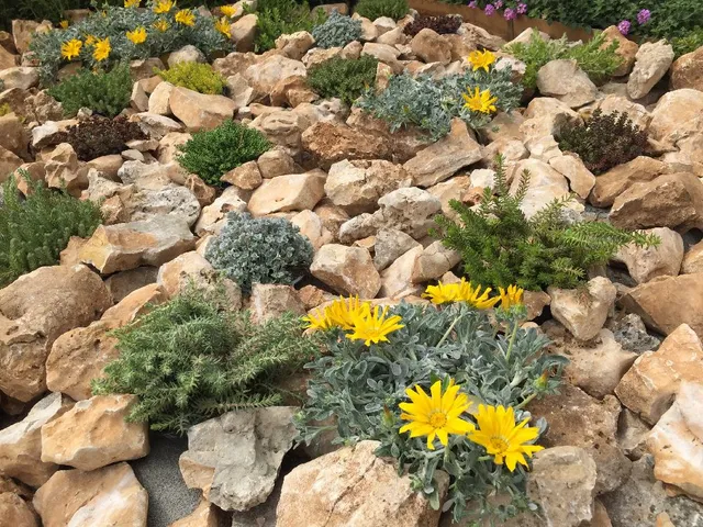 Anche un giardino sassoso e assolato può ospitare piante fiorite e profumate! – foto dell’autrice