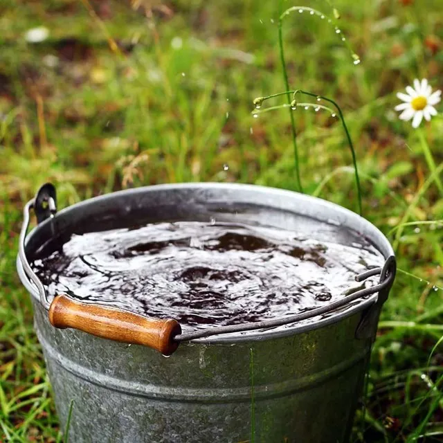 Recuperare l'acqua piovana - Shutterstock foto di Lena Lir