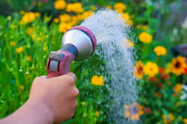 Le piante sono più assetate in estate: non far loro mancare l’acqua di cui hanno bisogno – foto Leroy Merlin