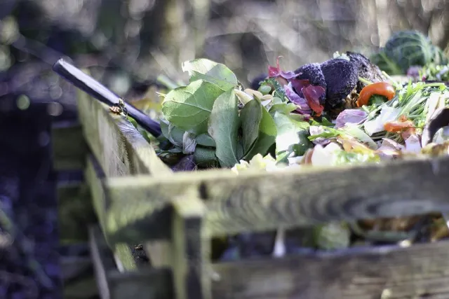 Inserisci nella compostiera solo scarti di origine vegetale! - foto Pixabay