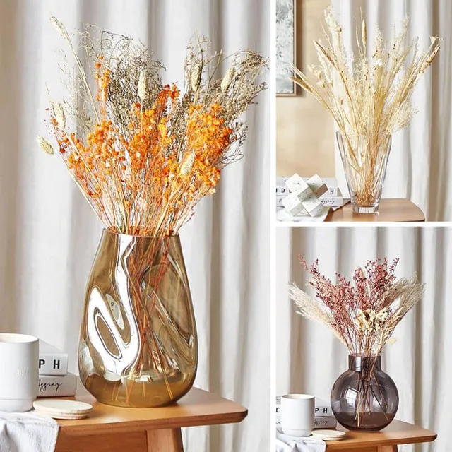 Vasi per piante, dalle mille forme e colori