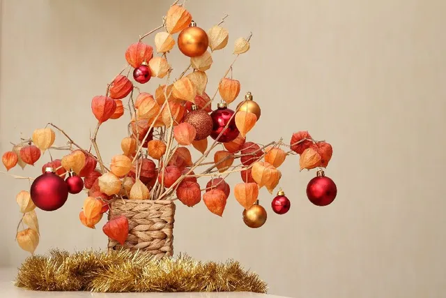 Con i rami di Physalis alkekengi puoi creare decorazioni natalizie originali e colorate! – foto Pixabay