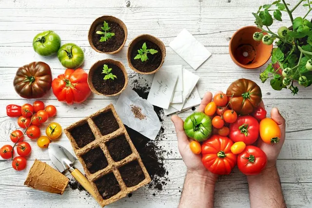 Non limitarti ai “soliti” pomodori: quest’anno coltivane di tanti tipi e colori diversi! - foto ispirazione Leroy Merlin