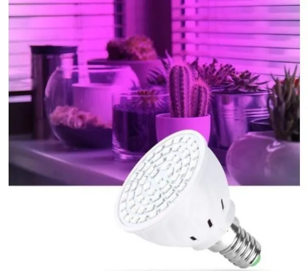 Le lampadine al led forniscono la giusta luce alle tue piccole coltivazioni indoor - foto Leroy Merlin