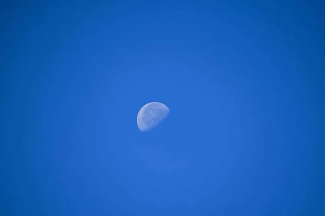 Osserva sempre la luna (o il calendario!) prima di seminare! - foto Pixabay