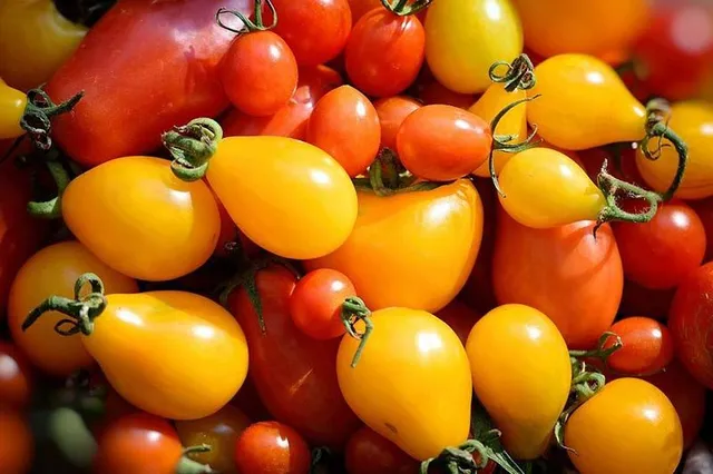Rossi o gialli, i pomodori non possono mai mancare in un orto - foto Pixabay
