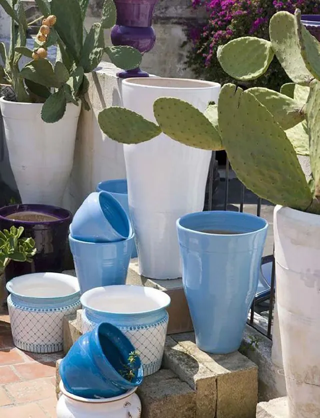 Tanti vasi con piante grasse sono perfette per un giardino mediterraneo - designmag