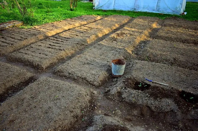 Prepara bene la terra dell’orto per eseguire le nuove semine – foto Pixabay