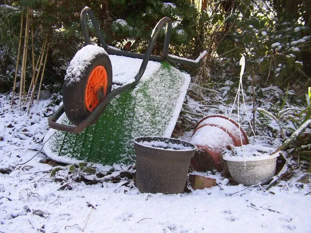 Il giardino in inverno sembra sopito... ma c'è sempre qualcosa da fare! - foto Pixabay