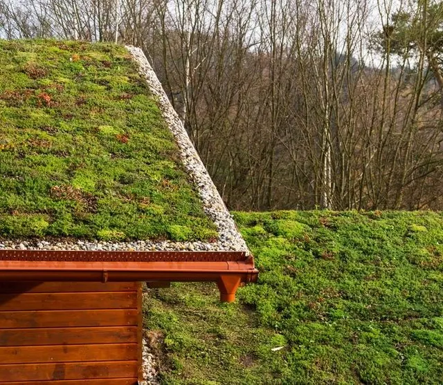 I benefici che otterrai creando un tetto verde estensivo sono molteplici - foto Leroy Merlin