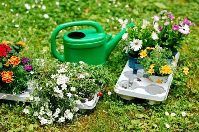 Compra tante piantine fiorite per rallegrare il tuo giardino a primavera – foto Leroy Merlin