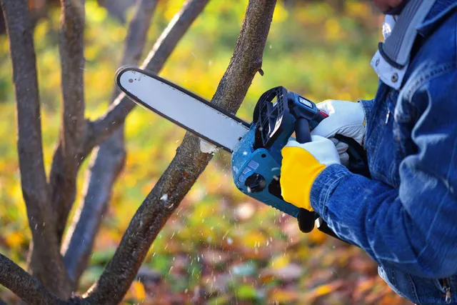 Per potare le piante del giardino, scegli gli attrezzi giusti – foto Leroy Merlin