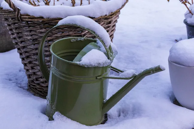L’inverno finisce in fretta: preparati al ritorno della bella stagione in giardino! – foto Pixabay