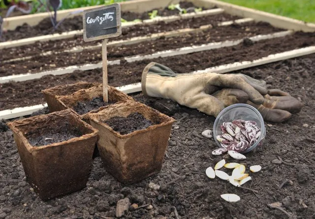 Non smettere mai di seminare piante nuove nel tuo orto! – foto Leroy Merlin