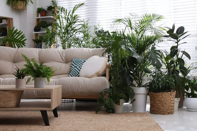 Non riesci a fare a meno di riempire la tua casa di piante? Scopri le tendenze di quest’anno e trasformala in un’oasi verde – foto Leroy Merlin
