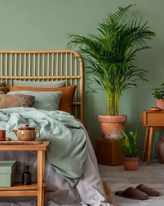 La Areca è una delle tante piante verdi che ti consiglio di tenere in camera da letto per rendere più riposante il tuo sonno! – foto Leroy Merlin