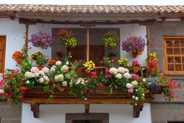Un davanzale pieno di fiori mette allegria, cosa aspetti a scegliere i fiori per il tuo balcone?