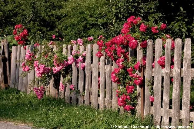 Una bella staccionata in legno rende il giardino più romantico!- foto gusme.it