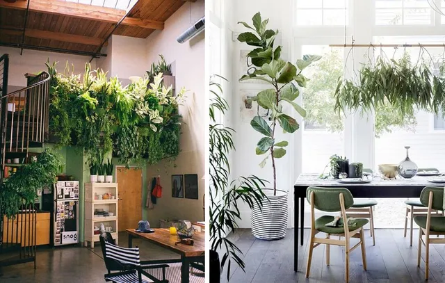 Ispirazione per una casa piena di piante  - flikr e sfgirlbybay