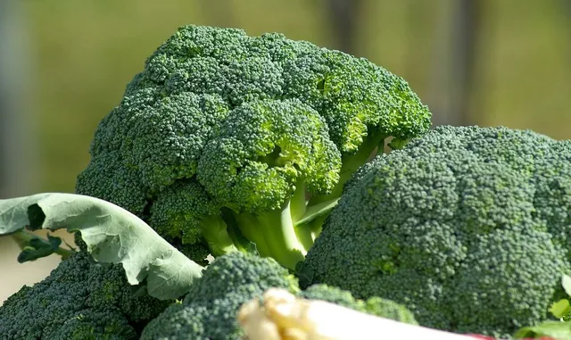 Cavolo "broccolo"... per gli amanti dei sapori forti! - foto Pixabay