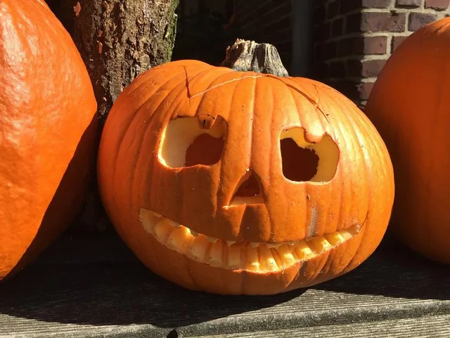 La zucca più conosciuta dai bambini è quella di Halloween! - foto Pixabay
