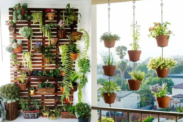 Appendi le piante su una struttura a parete o con vasi sospesi – Foto Robadicasa e Pinterest