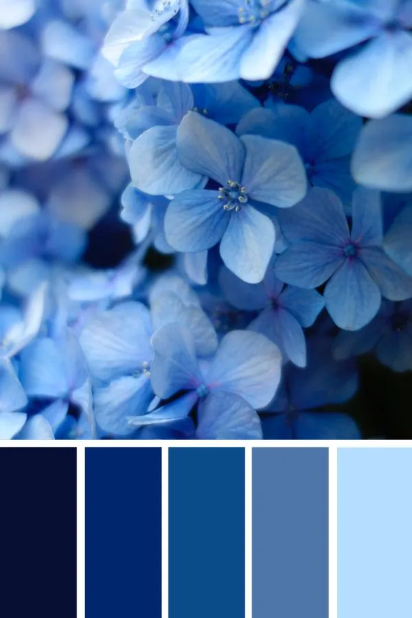 Ispirazione natura per la palette dei blu nei nostri spazi outdoor – bytraceybureau.com