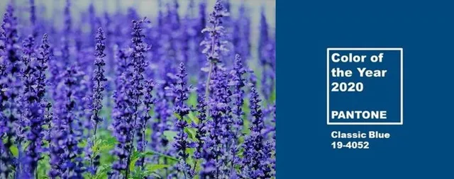 Classic Blue è il colore del 2020! Scegli fiori blu per il tuo giardino - foto Pixabay