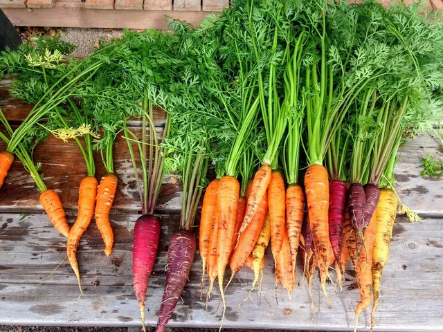Per far sviluppare le carote, utilizza contenitori un po' più profondi - foto Pixabay