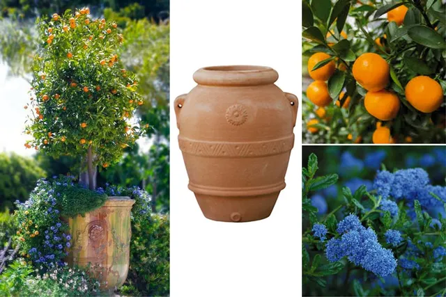 Colori complementari e materiali della tradizione per il potted garden mediterraneo – sbdigs.com e Leroy Merlin