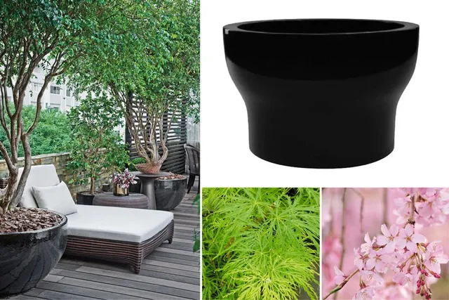 Con vasi di grandi dimensioni si possono far crescere alberetti anche sul terrazzo di casa – freshideen.com e Leroy Merlin
