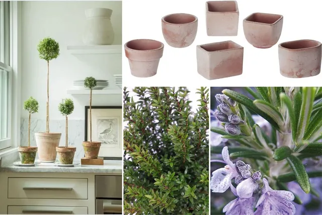 Con i micro vasi in cotto il potted garden diventa prezioso come un gioiello – petitehaus.com e Leroy Merlin
