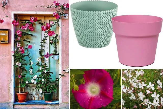 Con i vasi preferiti possiamo creare un potted garden super colorato – haleowenow.tumblr.com e Leroy Merlin