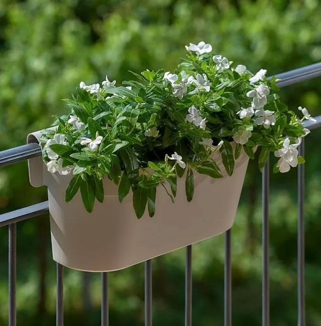 Il fior di vetro è una pianta perfetta per adornare il davanzale del balcone- Idea Leroy Merlin