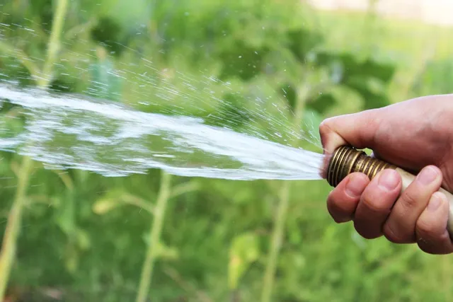 Assicurati di avere una fonte d'acqua comoda al tuo orto! - foto Pixabay