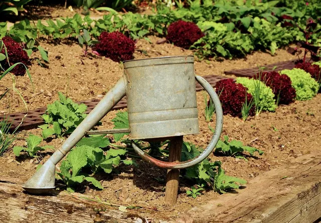 Uno degli impegni più faticosi, quando si coltiva un orto, è la bagnatura delle piante - foto Pixabay