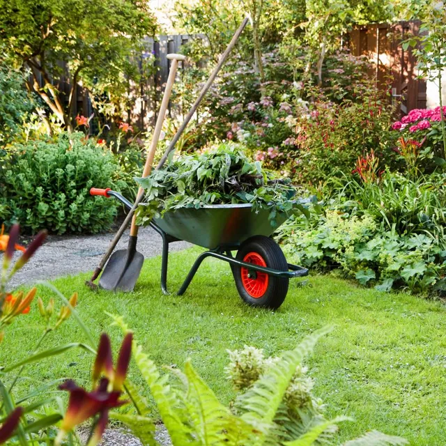 Con la carriola di plastica trasporti senza fatica erbacce e attrezzi da giardinaggio - Idea Leroy Merlin