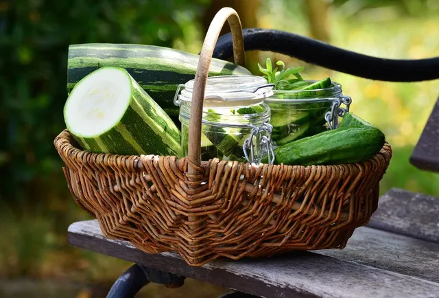 Potrai raccogliere zucchine per tutta l'estate e cucinarle in mille modi, come più ti piace! - foto Pixabay