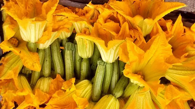 Gli insetti  sono molto attratti dai fiori gialli delle tue zucchine, tinili lontani! - foto Pixabay