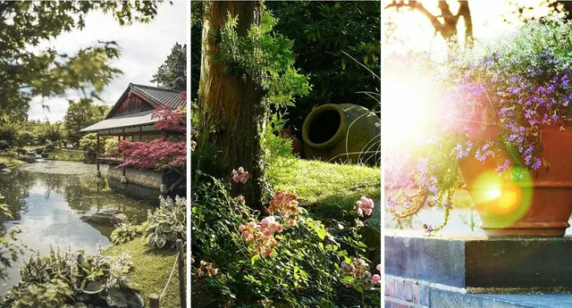 Ispirazione giardino: giapponese, mediterraneo, provenzale