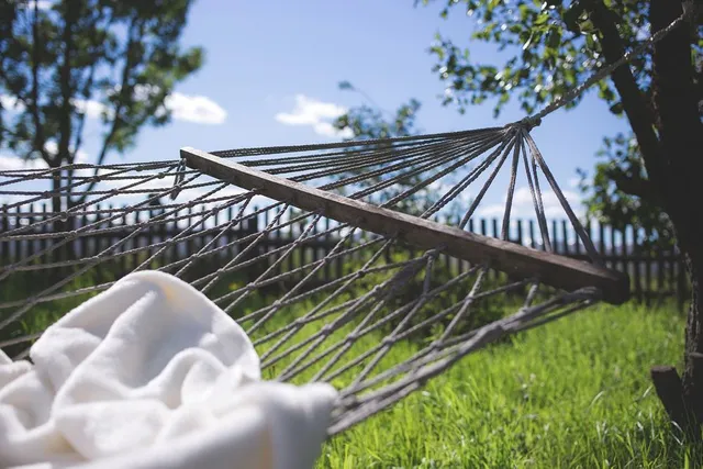 Ad agosto, la cosa più importante da fare è rilassarsi e godersi il proprio giardino! - foto Pixabay