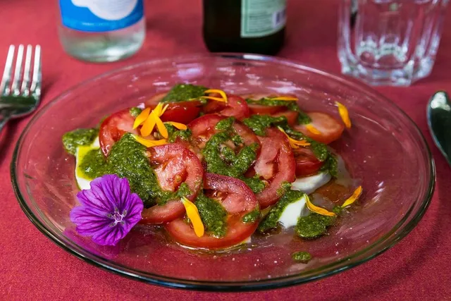 Aggiungi un tocco di eleganza alla tua insalata, con un fiore di malva - foto Pixabay