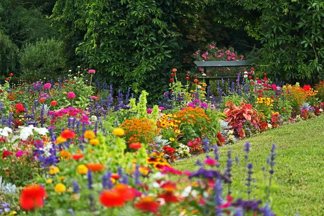 Se vuoi avere un giardino ricco di fiori, inizia già da ora a seminarli! - foto Pixabay