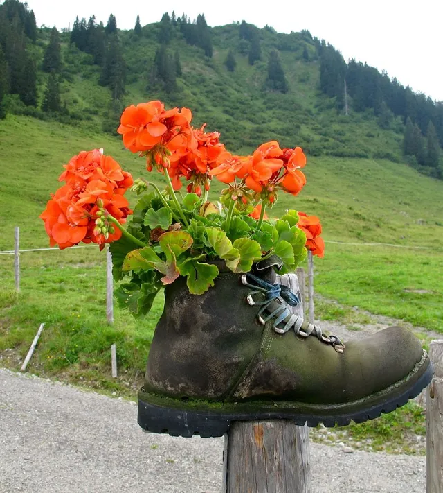 Metti da parte gli scarponi e rilassati coltivando fiori nel tuo giardino in montagna - foto Pixabay