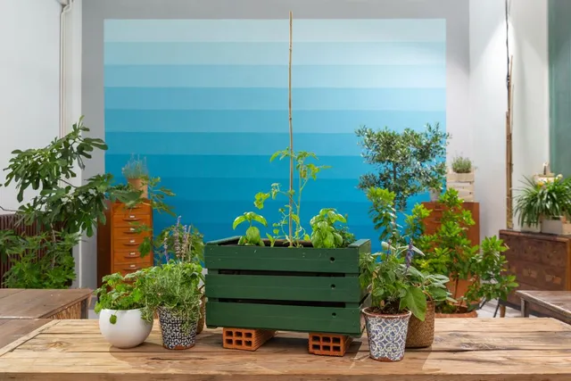 Come realizzare un orto in cassetta riciclata per il balcone e il giardino