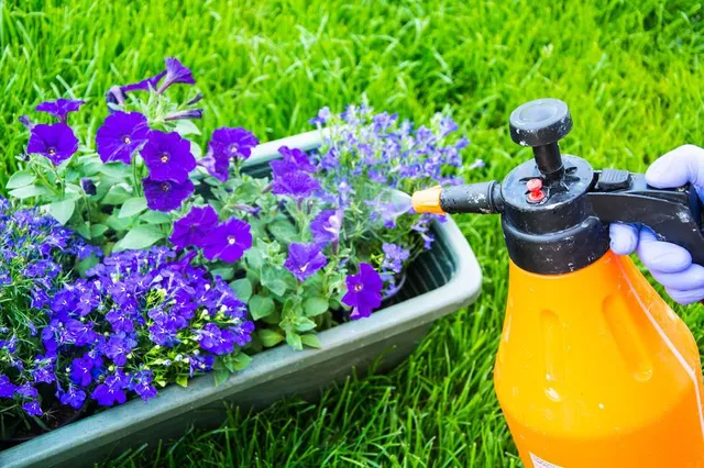 Proteggi i tuoi fiori da insetti e malattie con prodotti di origine naturale, sicuri ed efficaci - foto Leroy Merlin