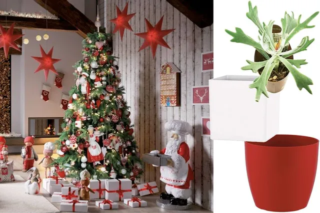 Ispirazioni per addobbare la casa con vasi bianchi e rossi per un Natale in stile tradizionale – Leroy Merlin
