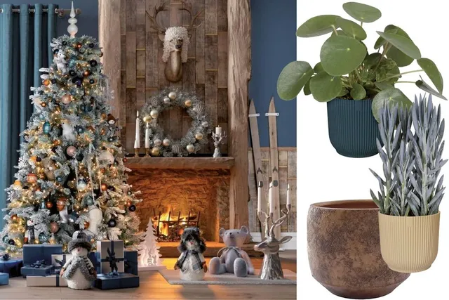 Soluzioni per un Natale in stile contemporaneo con vasi blu e color rame – Leroy Merlin